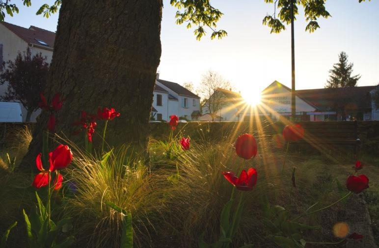 Hotel Les Chevaliers Des Balances Saint-Aubin  Zewnętrze zdjęcie